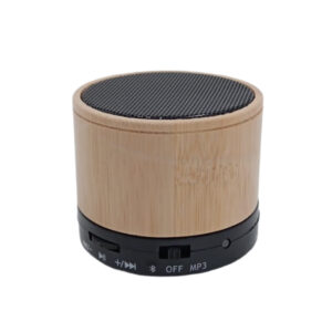 Mini Bluetooth Speaker IV
