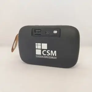 mini-parlante-bronx-CSM
