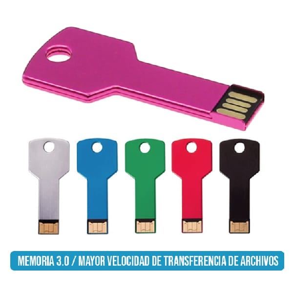 Memoria USB AP1011-3.0
